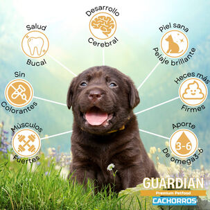 Alimento Para Perro Cachorro Guardián 9kg