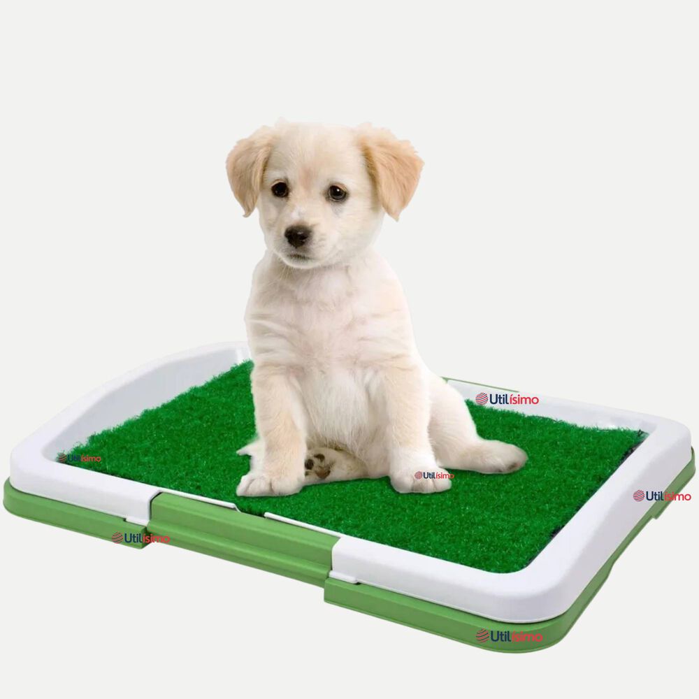 Baño Ecológico Reutilizable Para Perros Adiestramiento Mascotas image number 0.0