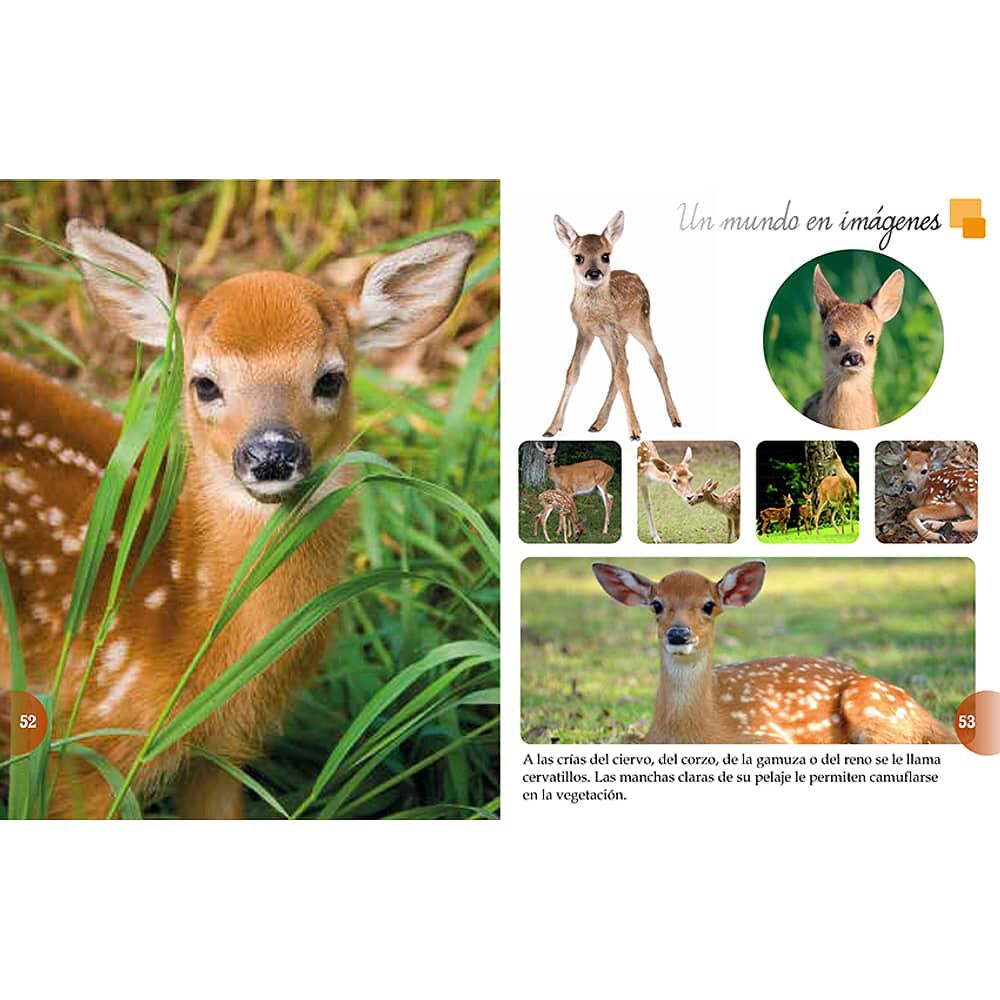 Los Animales Del Mundo image number 2.0