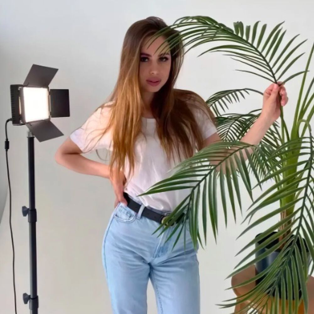 Kit Profesional Luz Relleno Con Tr&iacute;pode image number 3.0