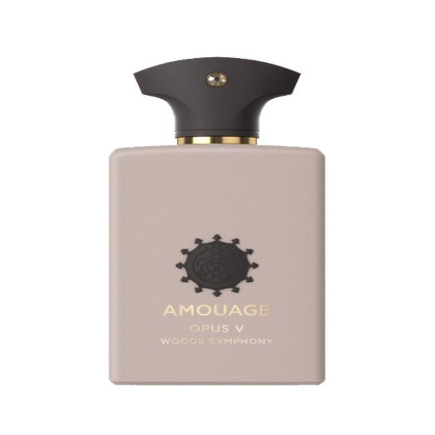 Amouage Opus V Wood Symphony Edp 100ml image number 0.0