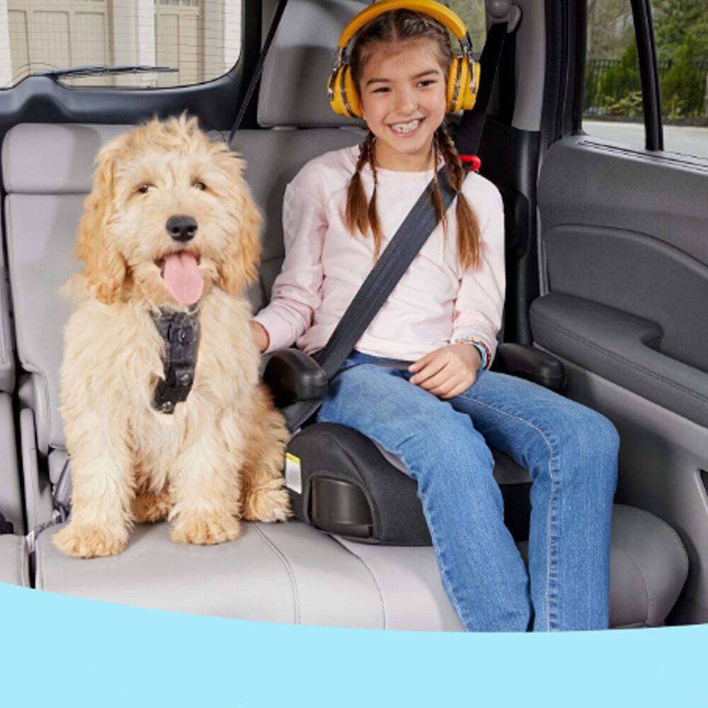 Alzador Turbobooster 2.0 Backless Booster Gris image number 3.0