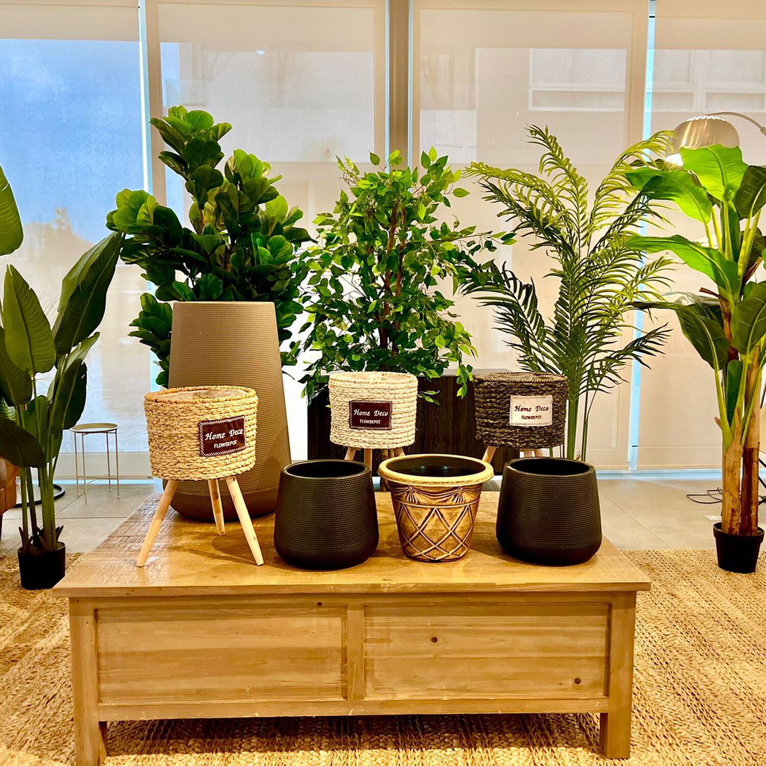 Planta Artificial Palmera Premium 150 Cm. / 12 Hojas image number 5.0