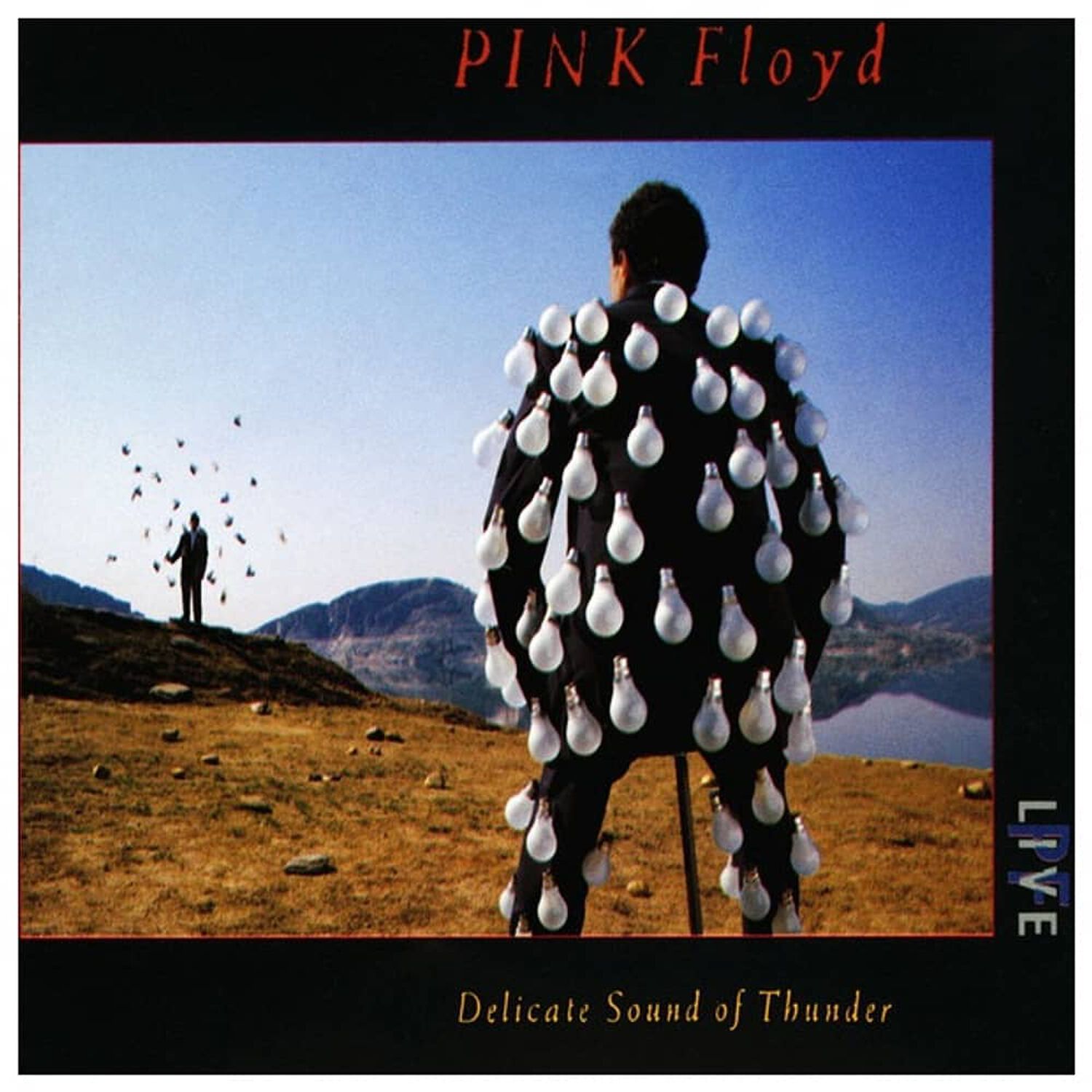 Pink Floyd - Delicate Sound Of Thunder (2cd) | Cd image number 0.0