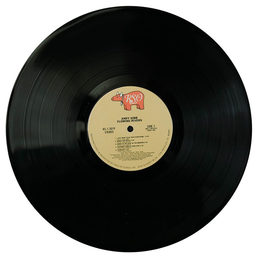 Andy Gibb - Flowing Rivers | Vinilo Usado image number 2.0