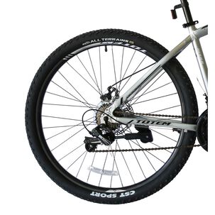 Bicicleta Totem Mtb Aro 29*17 Mod W760 Color Plateado