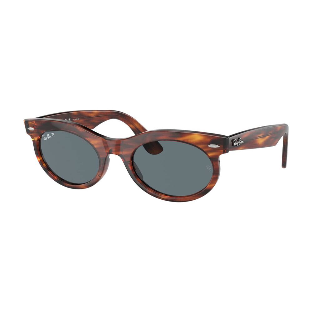 Lentes De Sol Wayfarer Oval Havana Rayado Polarizados Ray-ban image number 1.0