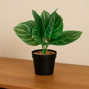 Planta Artificial Calathea 23x9 Cm