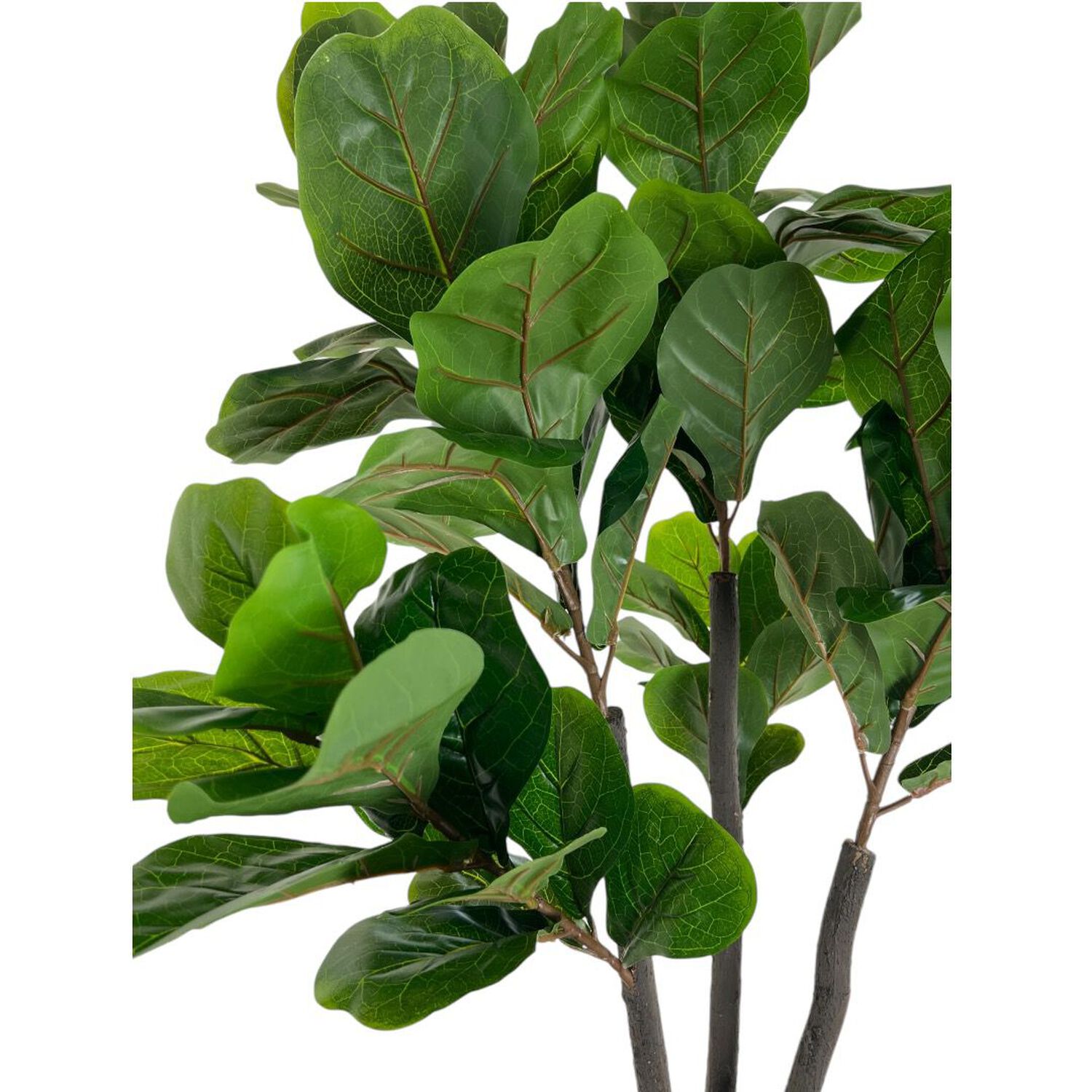Planta Artificial Ficus Lyrata Deluxe180 Cm. / 88 Hojas Arbusto Real image number 3.0