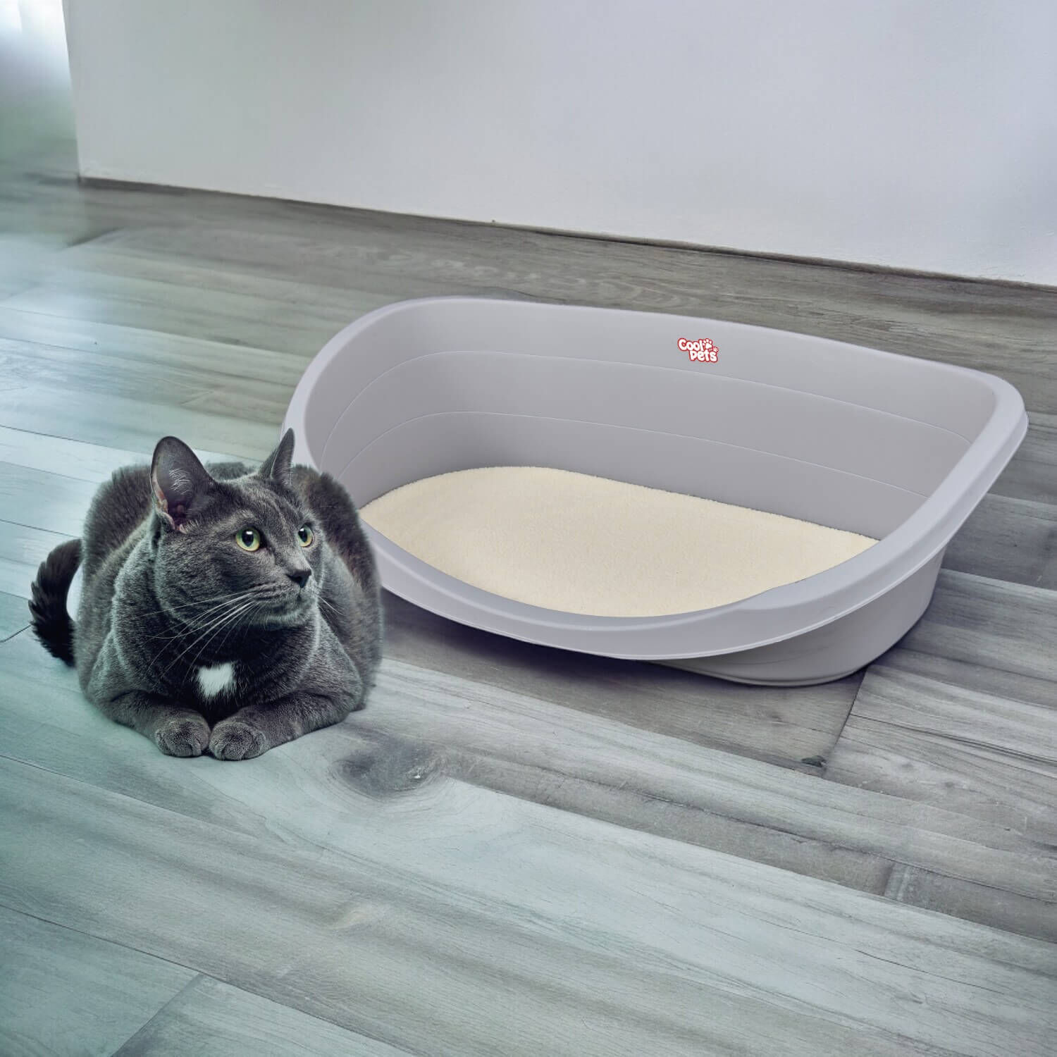 Cama Plastica Para Mascotas Con Cojin M 62x43x23 Cool Pets image number 5.0