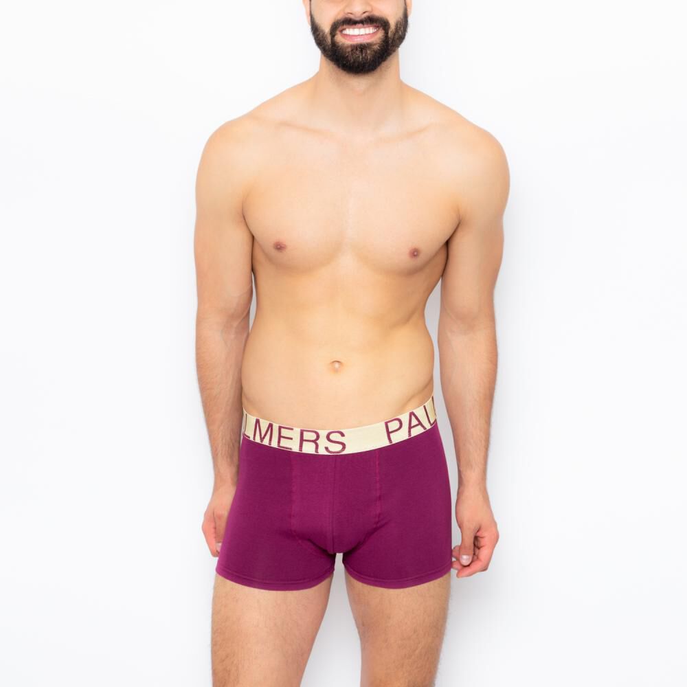 Pack Boxer Hombre Palmers / 5 Unidades image number 3.0