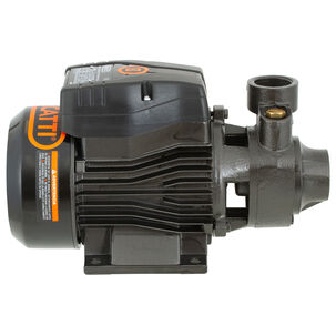 Electrobomba Superficie 0,5 Hp Perif&eacute;rica