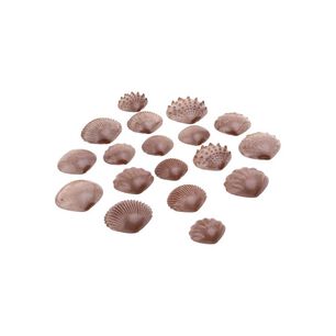 Set De Conchas Con Textura