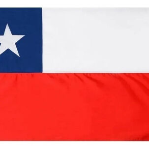 Bandera De Chile Escudo 80 Cm X 120 Cm Fiestas Patrias