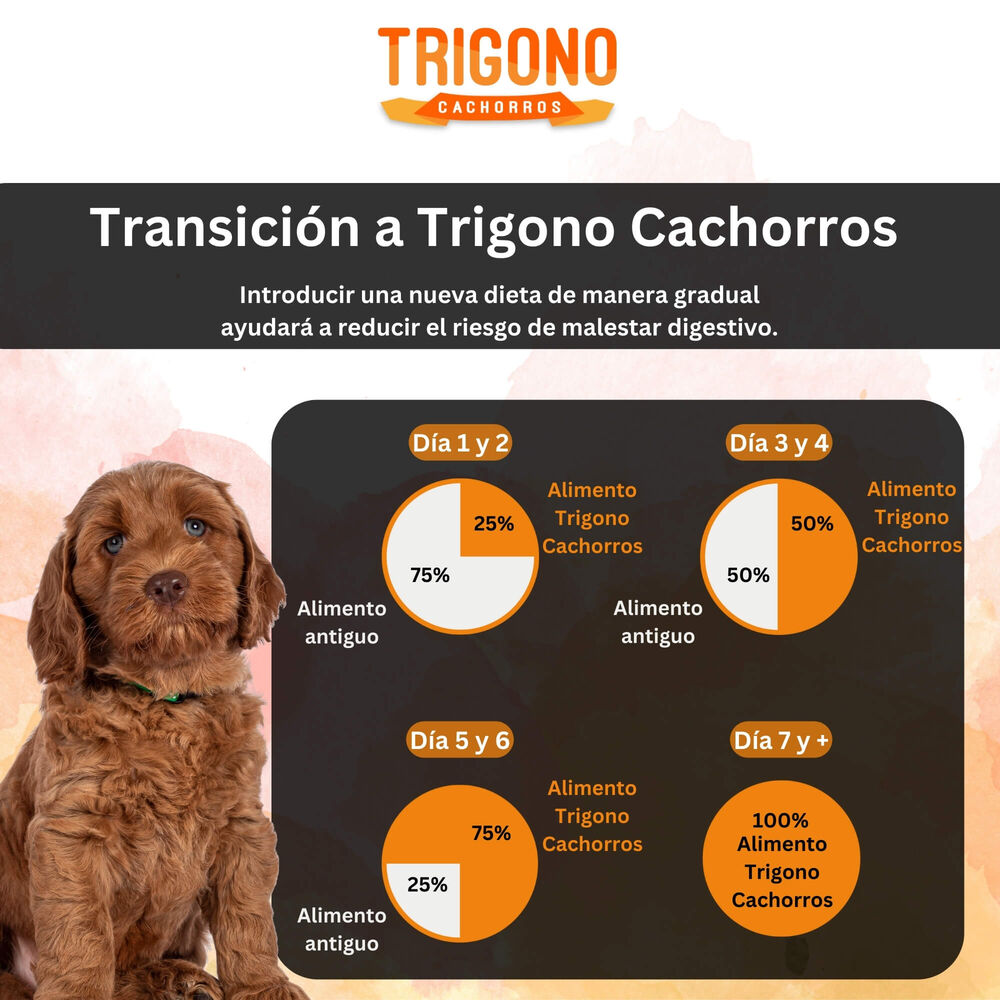 Alimento Para Perro Cachorro Trigono 10kg image number 4.0