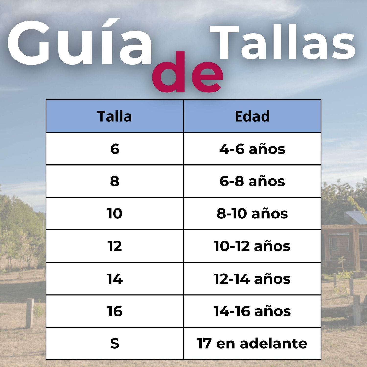 Traje Vestido Mapuche Ni&ntilde;a Incluye Trapelacucha 4 A&ntilde;os Hasta Talla S Vestimenta T&iacute;pica image number 2.0