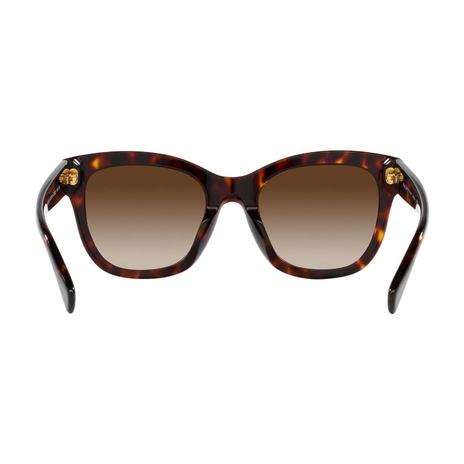 Lentes De Sol Shiny Dark Havana Ralph image number 6.0