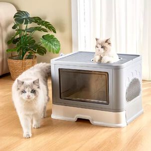 Arenero Cerrado Gatos