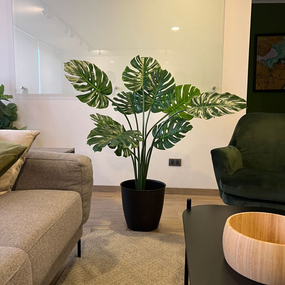 Monstera Premium 120 Cm. / 10 Hojas Arbusto Real image number 3.0