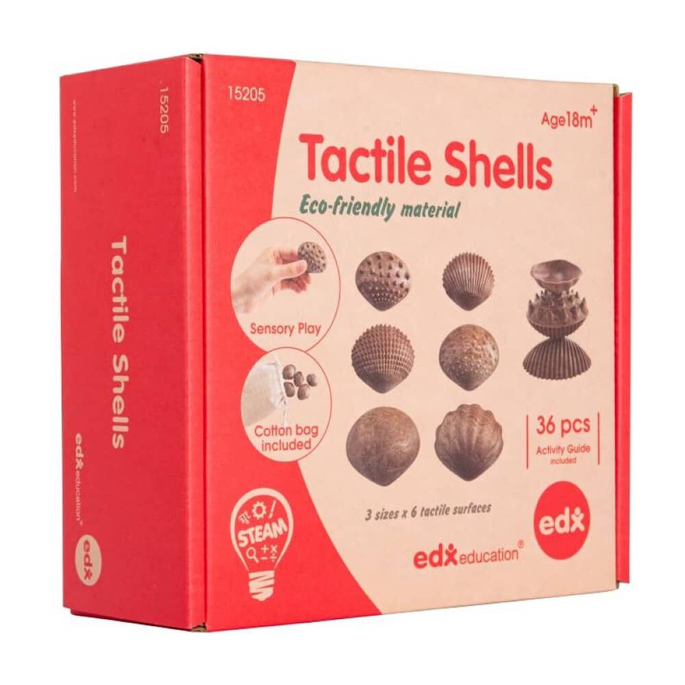 Set De Conchas Con Textura image number 0.0