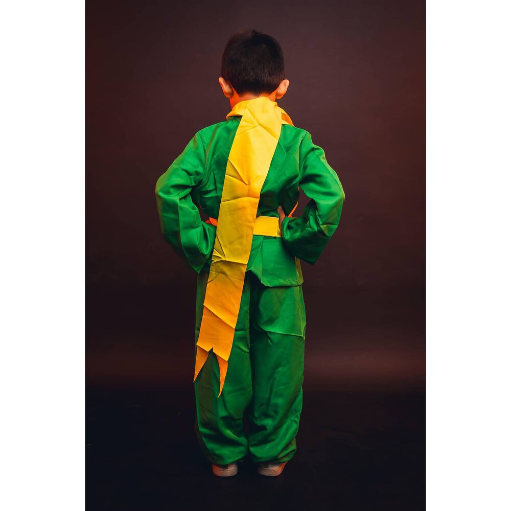 Disfraz Infantil Principito Cuento Infantil Ni&ntilde;os image number 10.0