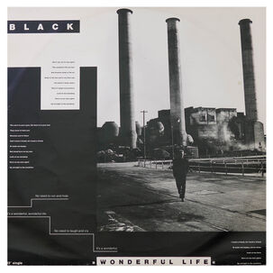 Black - Wonderful Life | 12" Maxi Single Usado