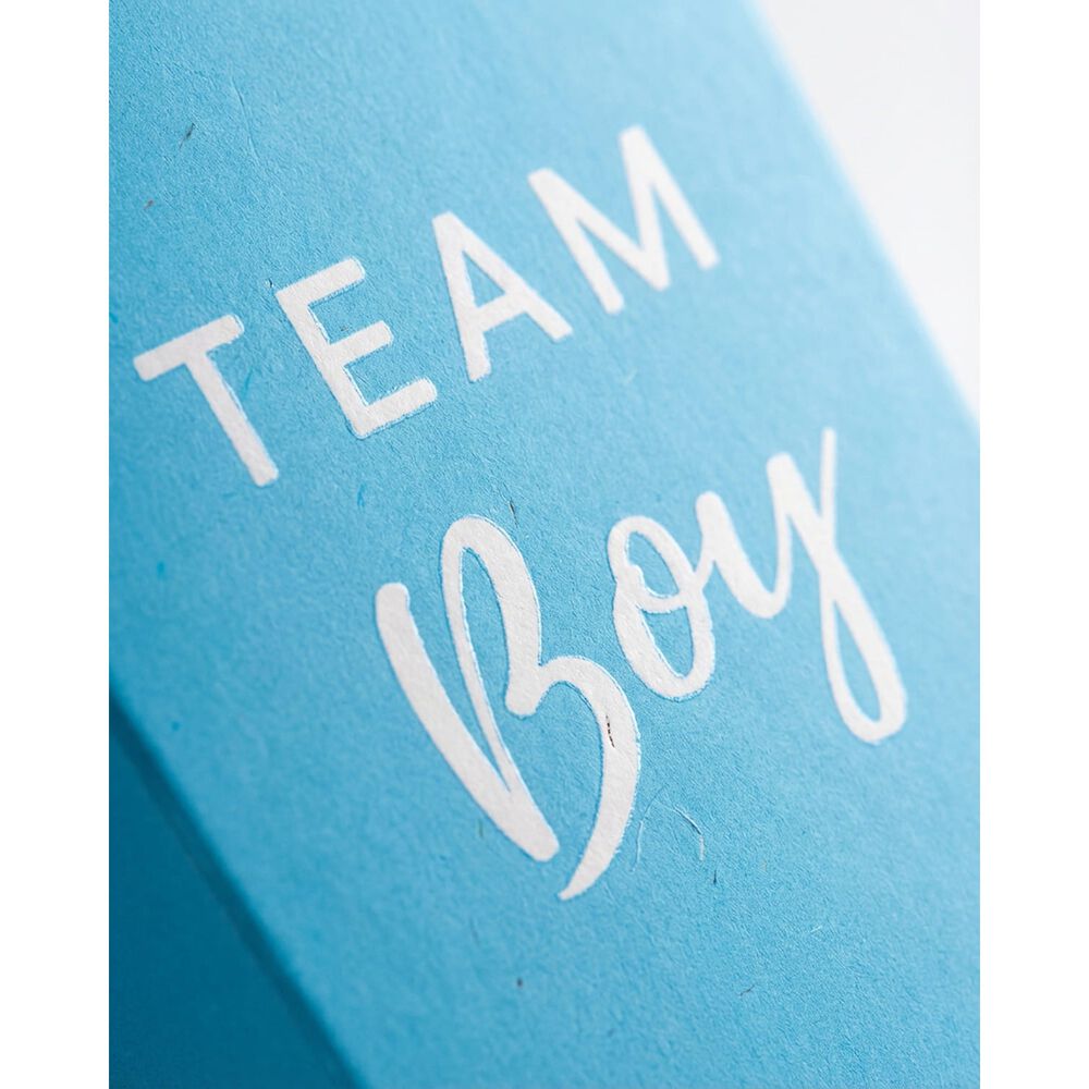 Pack De 12 Caja De Pop Corn Baby Shower Revelacion De Genero image number 6.0