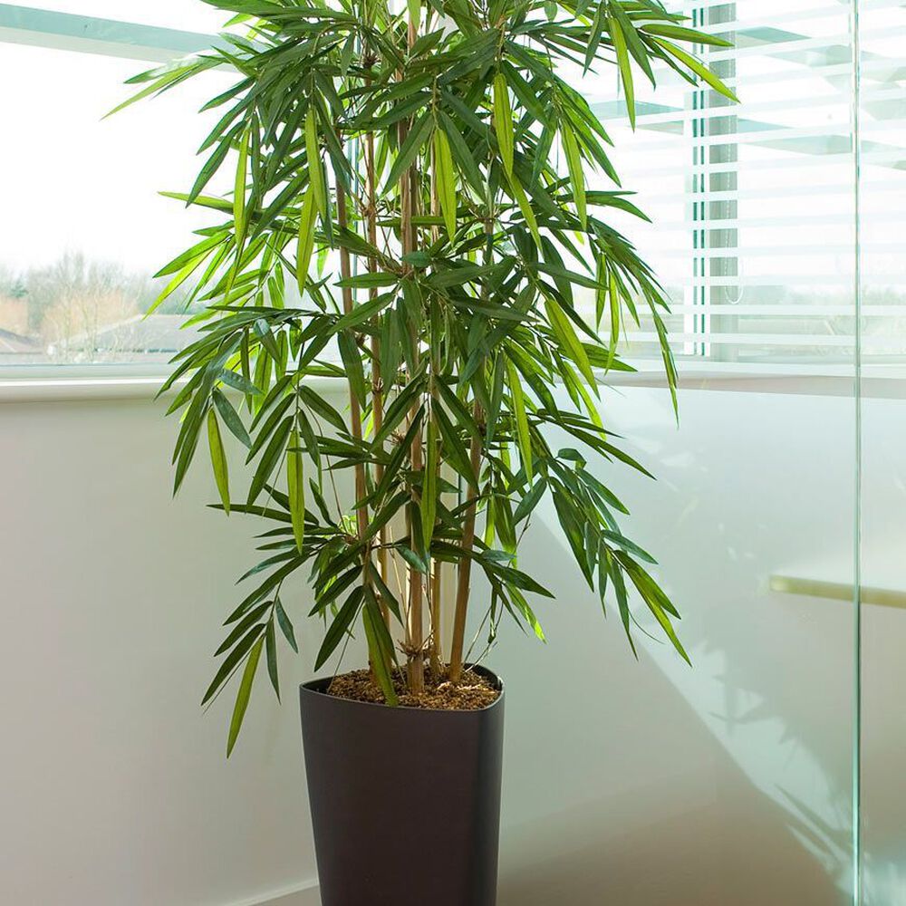 Planta Artificial Bamboo Premium 120 Cm. / 730 Hojas image number 4.0