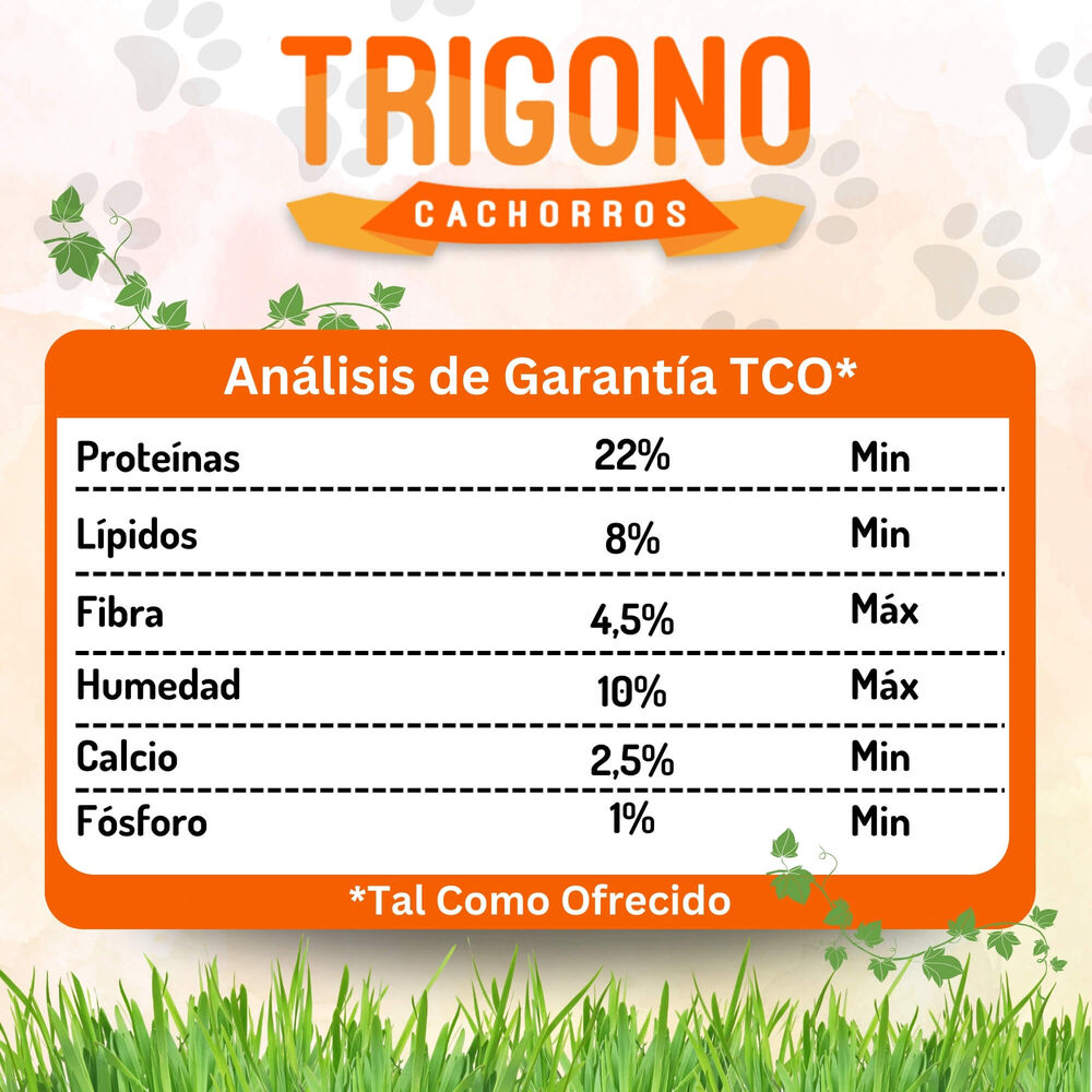 Alimento Para Perro Cachorro Trigono 10kg image number 3.0