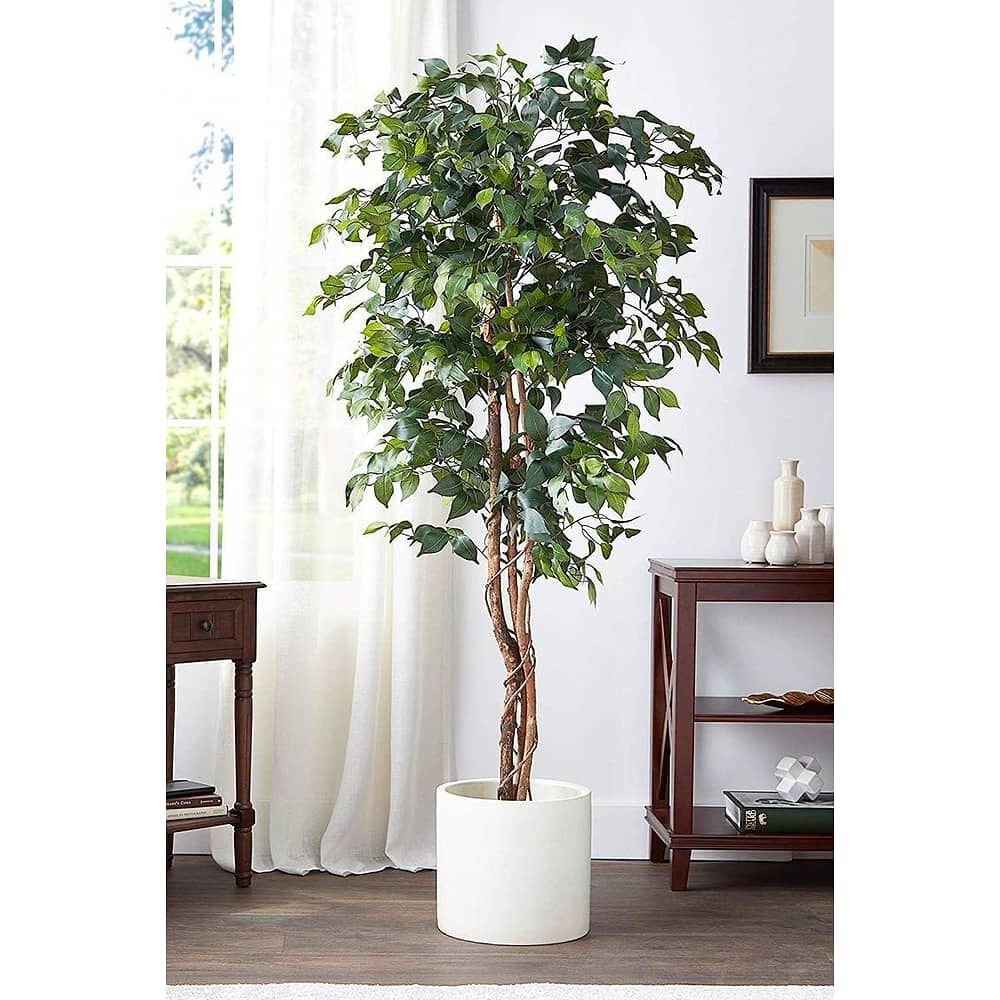Planta Artificial Ficus Premium 180 Cm / 1288 Hojas / Arbusto Real image number 2.0