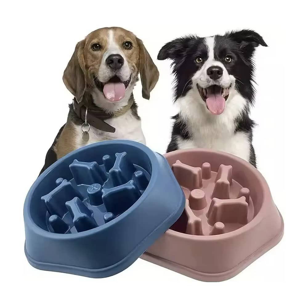 Plato Anti Ansiedad Perro Plato De Entrenamiento Perro Lento image number 1.0