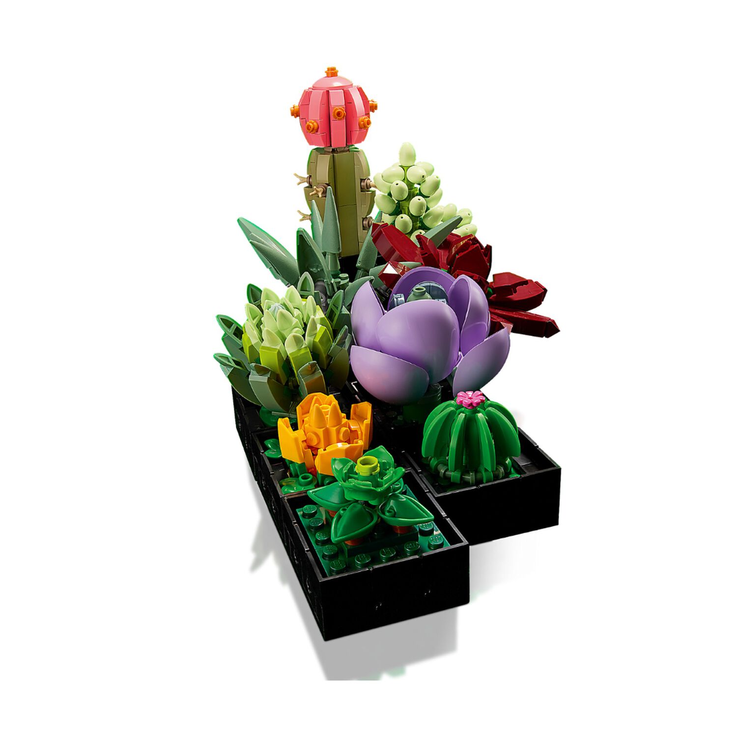 Lego Botanicals - Suculentas - 10309 image number 2.0