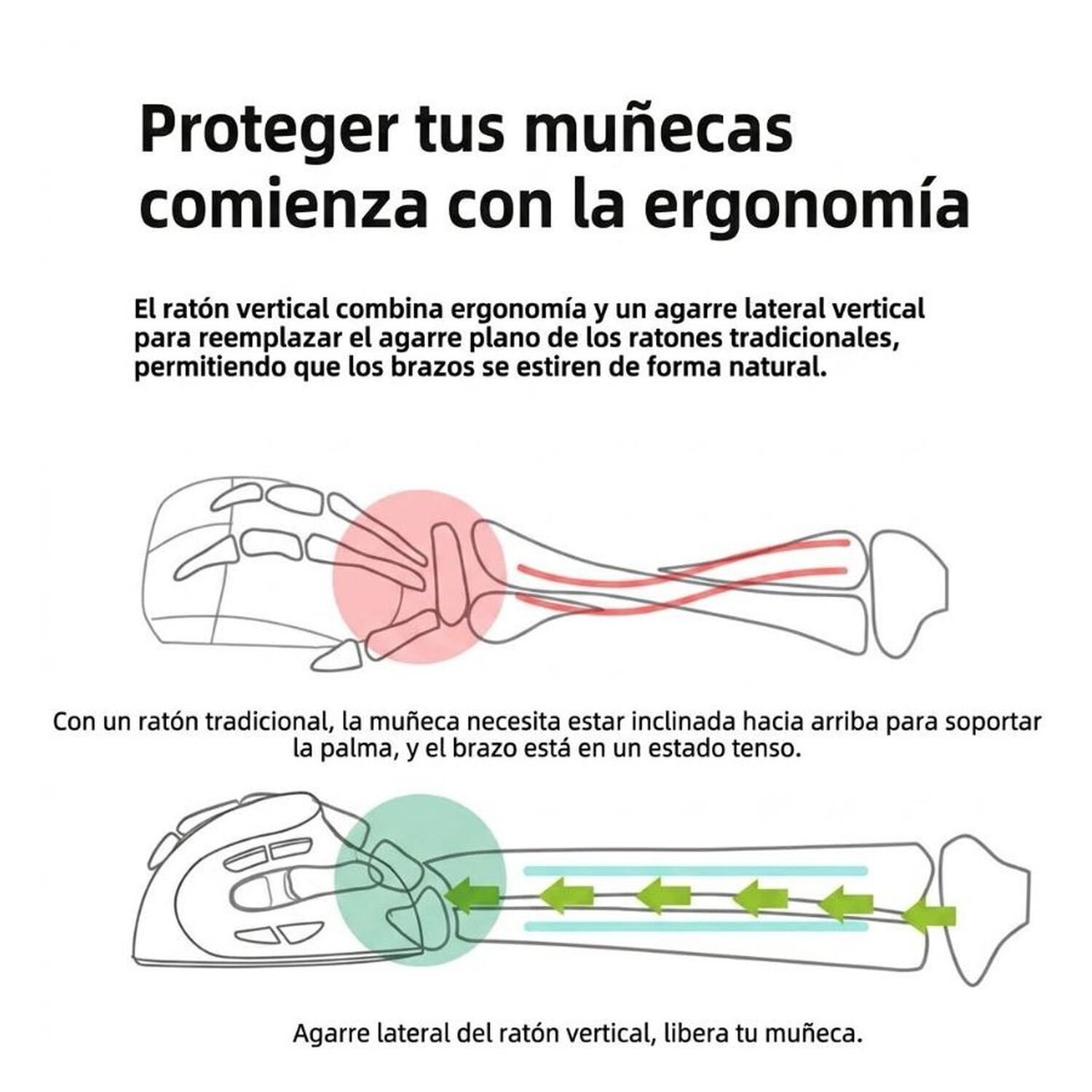 Mouse Vertical Ergonomico Inalambrico Recargable Bluetooth image number 3.0