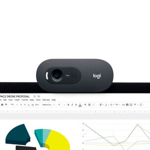Cámara Webcam Logitech C505e Hd 720p Con Micrófono | Lifemax