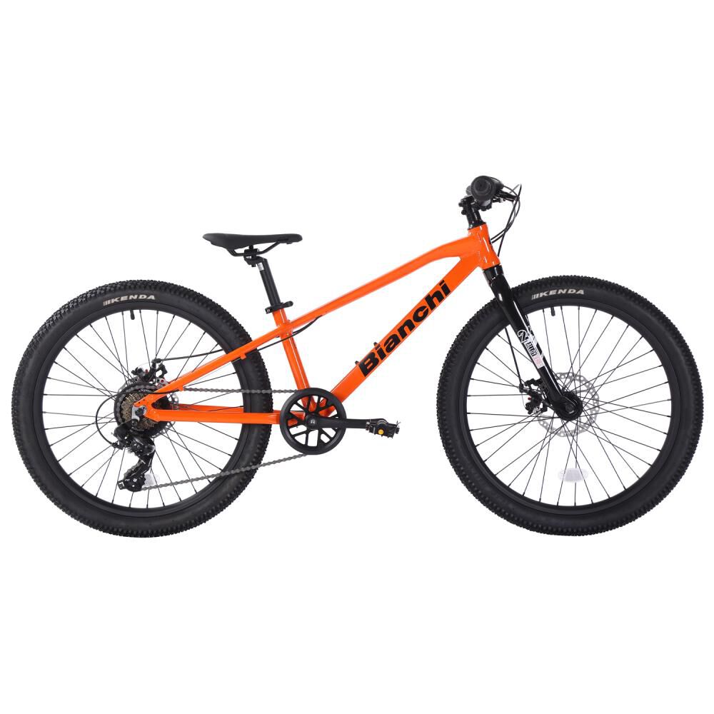 Bicicleta Mountain Bike Bianchi Bianchi Alloy 24 / Aro 24 image number 0.0