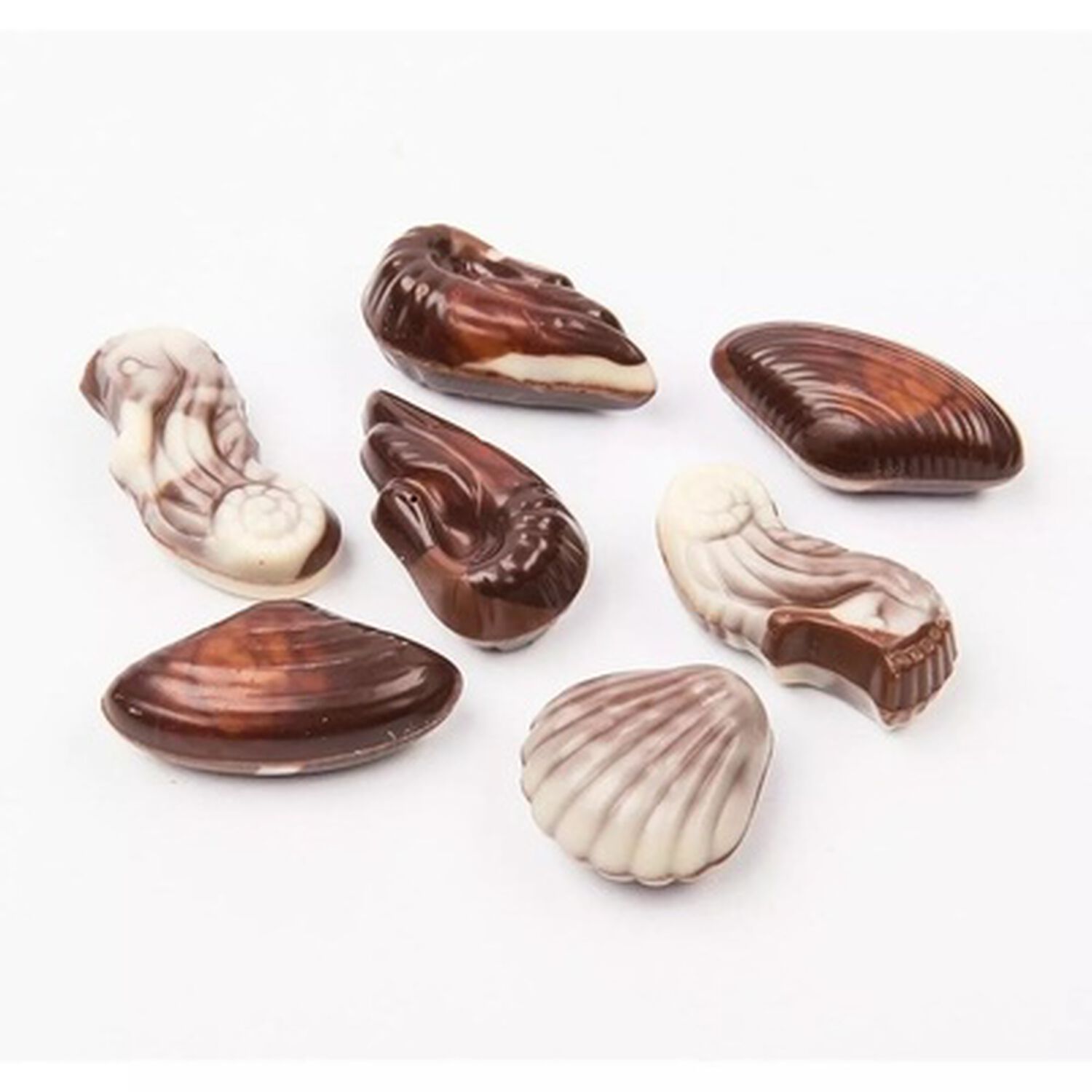 Bombones De Chocolates Belgian Seashells | Conchitas image number 1.0