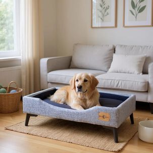 Cama De Mascotas - Talla Xl Extra (110x80 Cm) / Pata Metalica 12 Cm