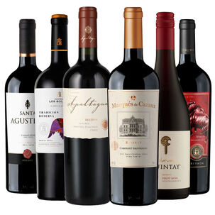6 Vinos Mix Plus Reserva Tintos