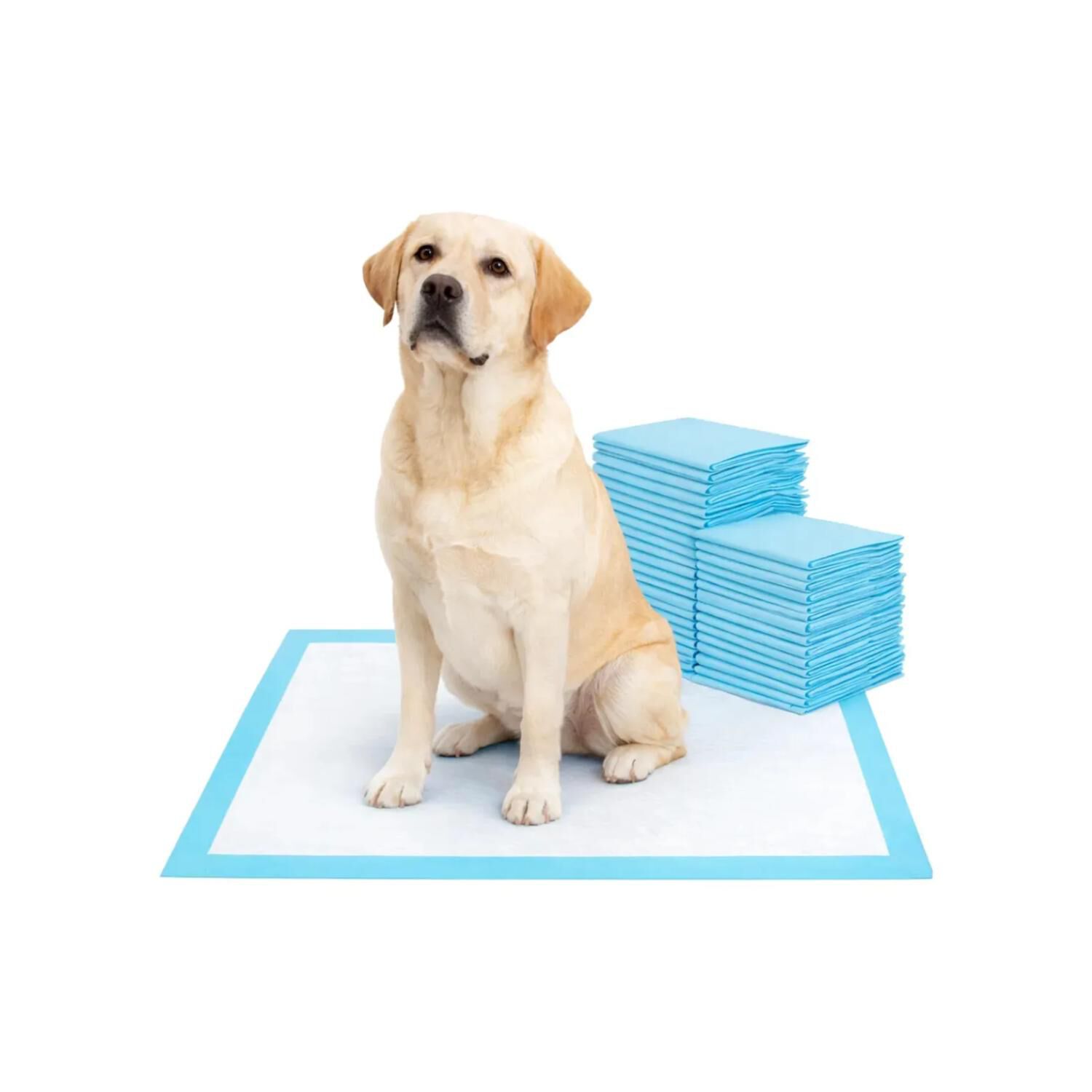 Pack 12 Sabanillas 45x60cm De Entrenamiento Para Perros Mascotas image number 0.0