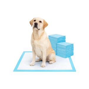 Pack 12 Sabanillas 45x60cm De Entrenamiento Para Perros Mascotas