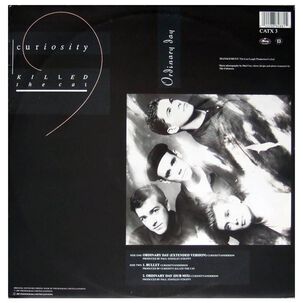 Curiosity Killed The Cat - Ordinary Day | 12" Maxi Single Usado