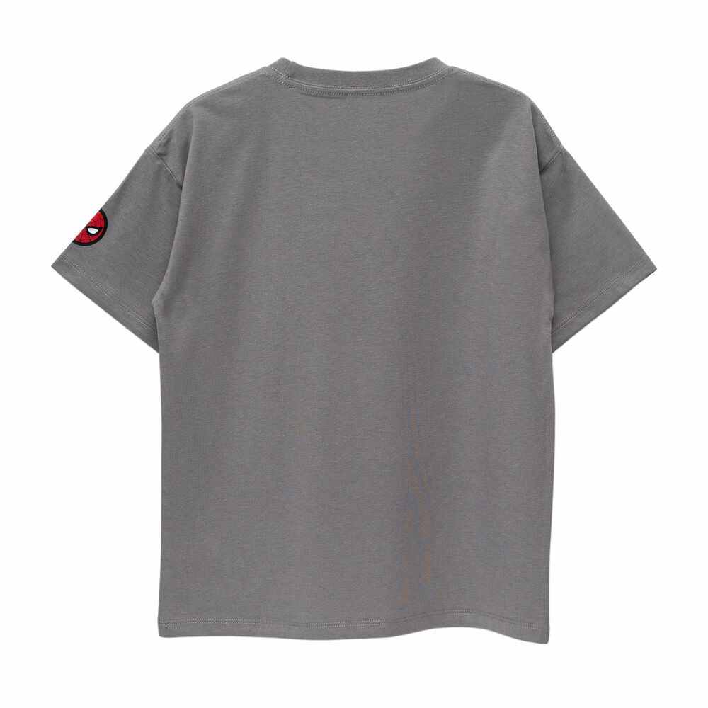 Polera Ni&ntilde;o Bubblegummers Amazing Spiderman Gris image number 1.0