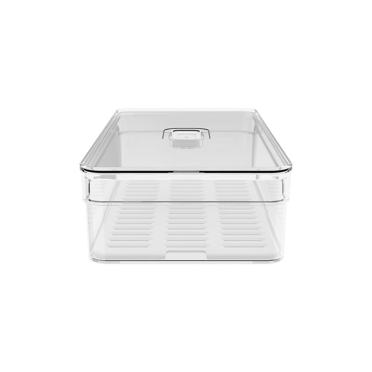 Organizador De Refrigerador Clear Fresh Con Tapa 30 X 15 X 7 Cm image number 3.0
