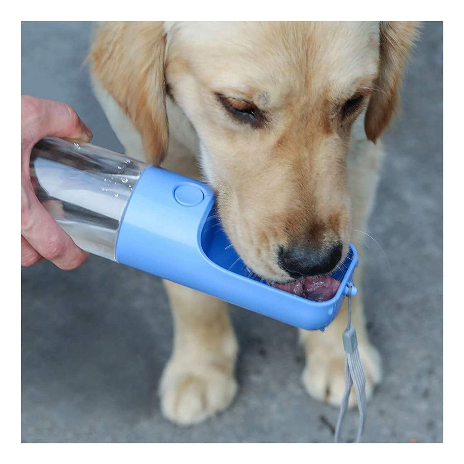 Dispensador De Agua Para Mascotas Portatil Pro Outdoor image number 8.0