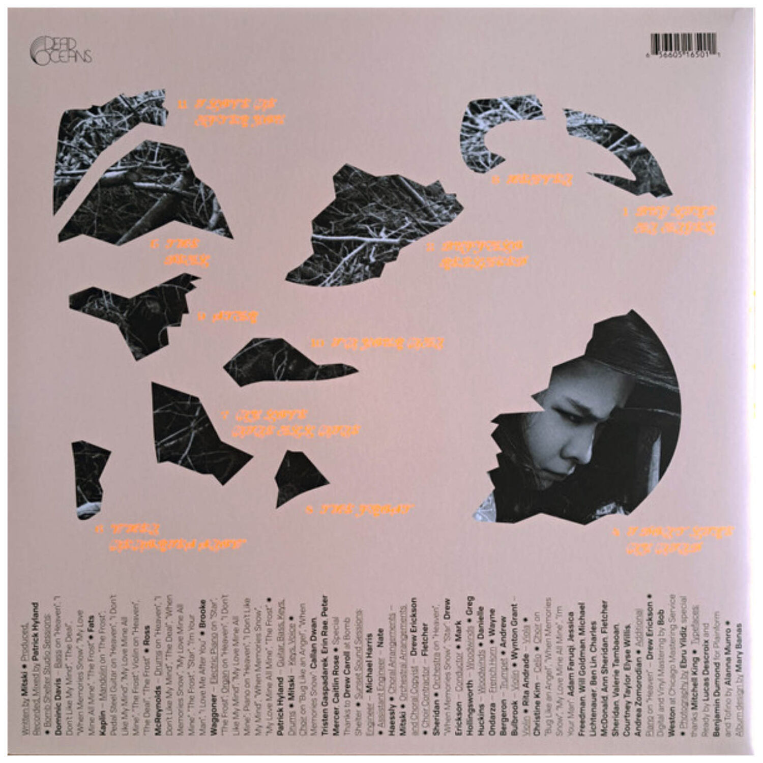 Mitski - Land Is Inhospitable And So Are We | Vinilo image number 1.0