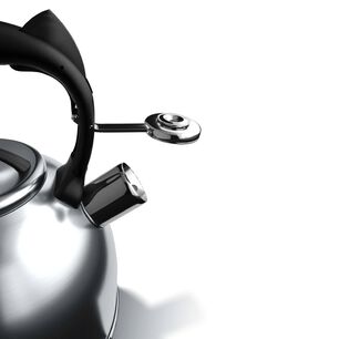 Tetera Acero De 3l Mango Ergon&oacute;mico Cocina Wens