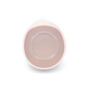 Plato Silicona Con Cuchara Rosa