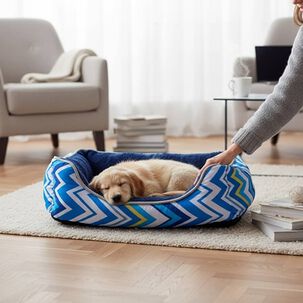 Cama Para Mascotas Espuma - Talla S (tricolor Azul)