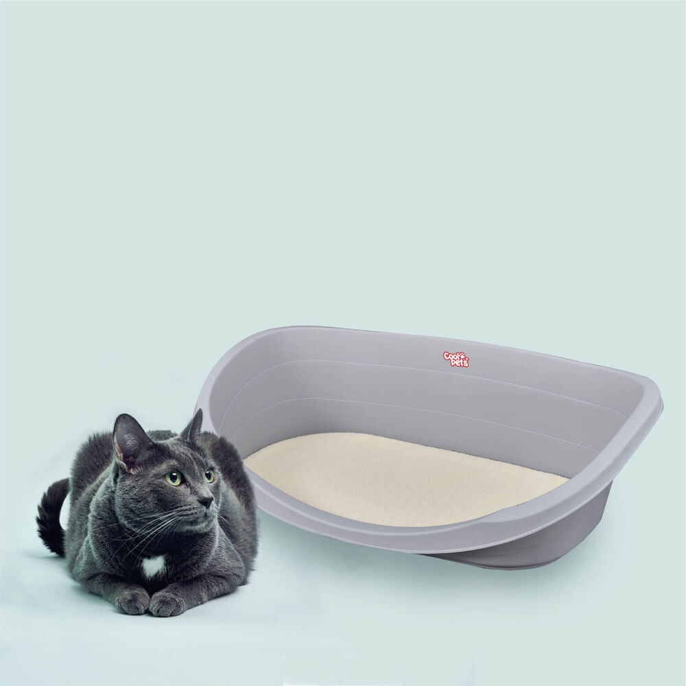 Cama Plastica Para Mascotas Con Cojin L 80x55x25 Cool Pets image number 5.0