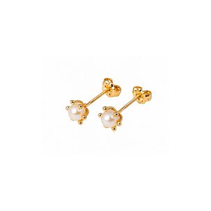 Aros Perla Cultivada Pistilo 5mm N3 Oro 18k 2.2gr Mujer Dorado